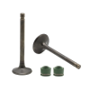 Valve Set-hero Honda Cbz Extreme/unicorn