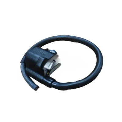 Ignition/power Coil-hero Pleasure (30510aal00099s)