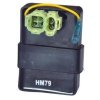 Cdi Unit(cdei- Unic-hm79)-honda Unicorn