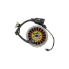 Stator Assy For Royal Enfeild Himalayan Abs – Bsvi