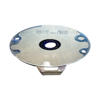 Coil Plate For Hero Cd-100 (with Screw)