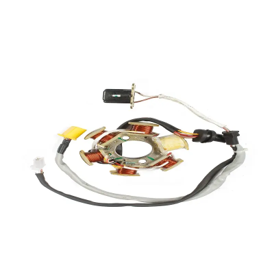 Stator / Coil Plate Assembly For Tvs Sport Ks