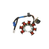 Stator / Coil Plate Assembly For Tvs Streak