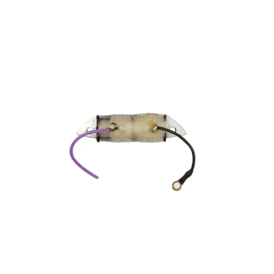 Charging Coil For Bajaj Boxer Ar