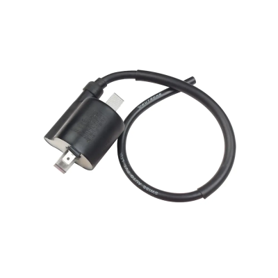 Ignition Coil For Hero Splendor+ Bs-iv