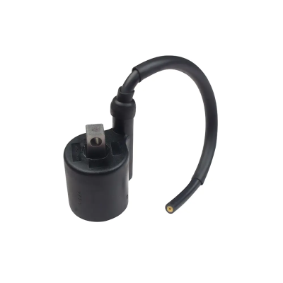 Ignition Coil For Hero Passion X-pro 100 (2013 Model)