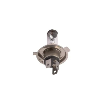 Halogen Bulb Hs1 12v-35/35w All Two Wheelers (px43t)