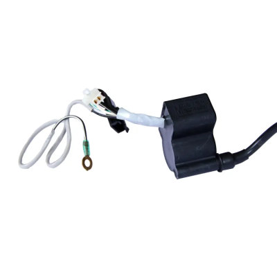 Digital Ignition Unit Tvs Victor Glx