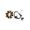 Stator Plate Assy.8 Pole " Tvs" " Star Sports Es"