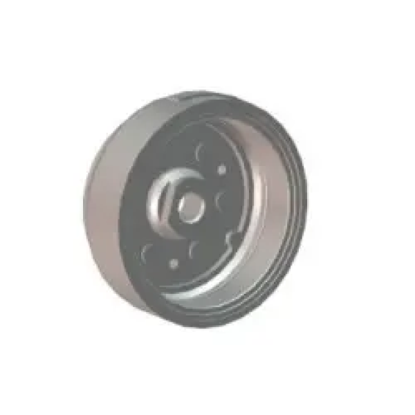 Magnet Assy Flywheel Comp Passion X-pro 2018 (latest 110-cc)
