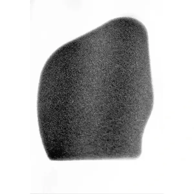 Air Filter For Wego(oe)