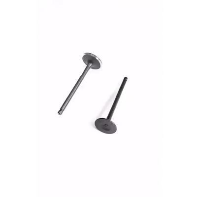 Valve Set For Fz