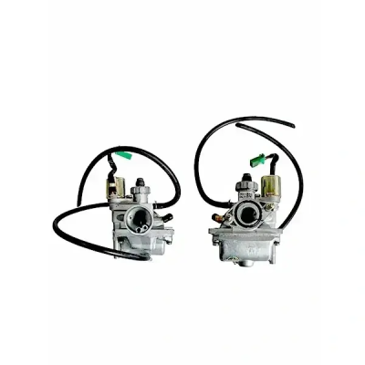 Carb Assy For Pep+new/streak