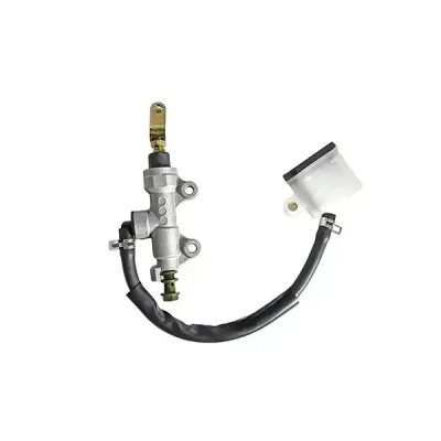 Rear Disc Pump Assy For R15