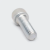 Bolt Alenky Kick Lever Rx100