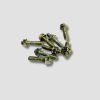 Silencer Stud W/nut Hh/activa