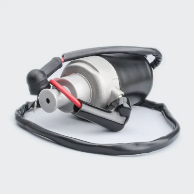 Starter Motor Assy Pulsar 135
