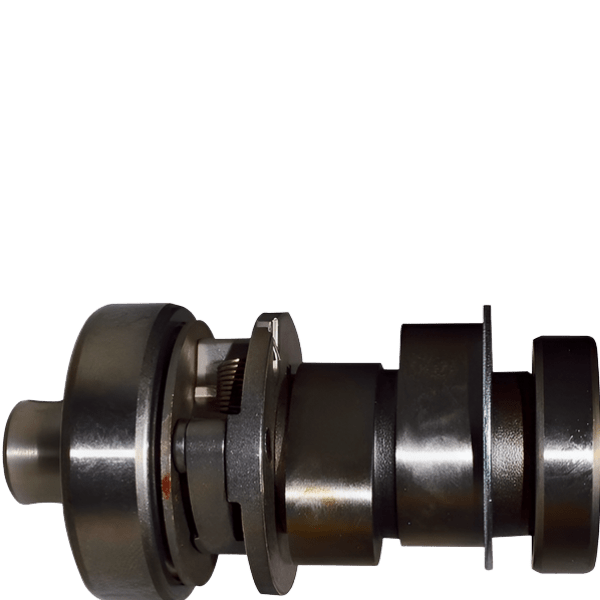 Camshafts Assembly With Bearings Bajaj Pulsar Dtsi - Indian Bikes Spares