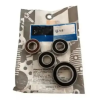 Aprilia Gear Box Bearings Kit With Oil Seal And Packing