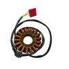 Dominar 400 Coil Plate Assembly