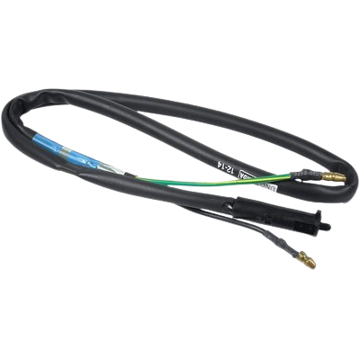 Rear Brake Switch Rxg