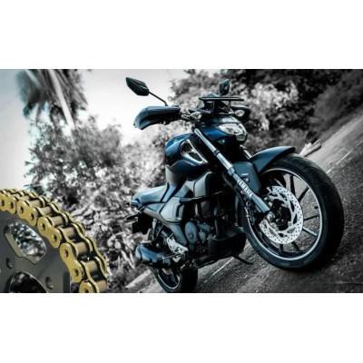 Rolon Brass Plated Chain Sprocket Kit For Yamaha Fz V3.0 / Fz V2.0 Rear Disk Fi