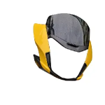 Passion pro bs6 visor price new arrivals