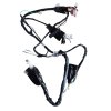 Wiring Harness For Tvs Flame 125 | Electric Start (alloy Wheel 2008 Model)