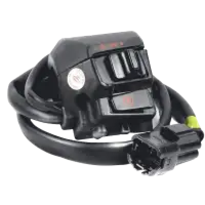 Combination Switch Right Standard Karizma R - Genuine