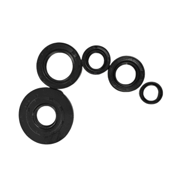 Oil Seal Kit Standard Cb Shine 125 Sp - Genuine