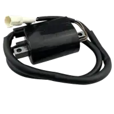 Power Coil Genuine Activa 5g - Genuine