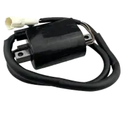 Power Coil Genuine Activa Old - Genuine