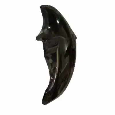 Genuine Front Mudguard Black For Bajaj Ct 100b