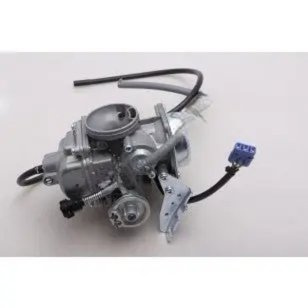 CARBURETTOR Assembly(16100AAP001S)