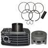 NIKAVI CBKP25 Cylinder Block Piston Kit Compatible for Bajaj Pulsar UG3 / Pulsar 150 Digital (Silver)