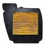 NIKAVI GGAF14 Motorcycle & Scooter Air Filter Compatible for Yamaha (FZ) + NKVKC