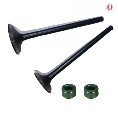 Splendor+ Ibs Bsvi (jan, 2021) Valve Kit Hero Genuine Parts -