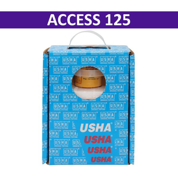 Usha Cylinder Kit for Access 125