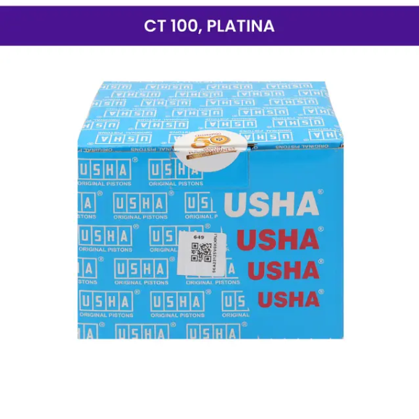 Usha Cylinder Kit for CT 100, Platina