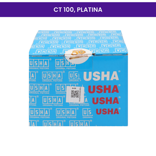 Usha Cylinder Kit for CT 100, Platina