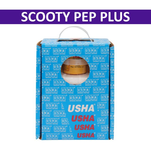 Usha Cylinder Kit for Scooty Pep Plus