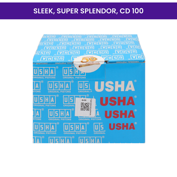 Usha Cylinder Kit for Sleek, Super Splendor, CD-100