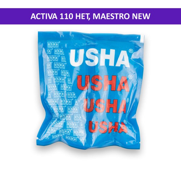 Usha Engine Valve for Activa 110 HET, Maestro New