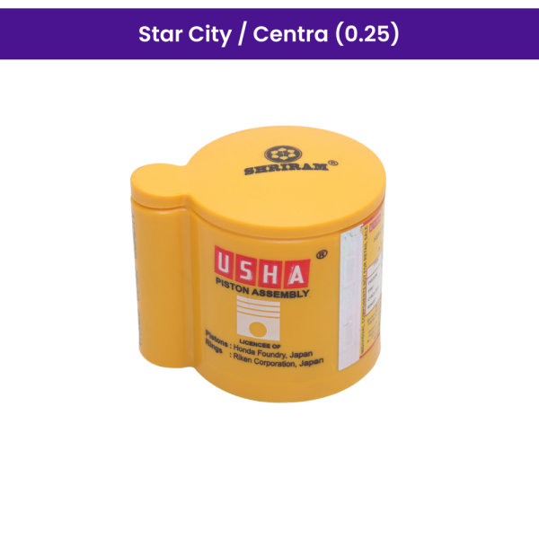Usha Piston Kit (0.25) for Star City,Centra