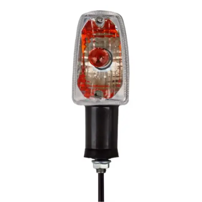 Hero Passion Pro Indicator Assembly