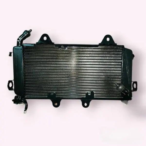 Ktm duke/Rc 200 radiator assembly