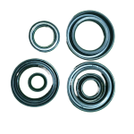 Oil seal kit for rx 100 /135 /rxz