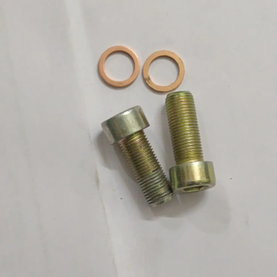 Rx 100/135 Front Fork Alanky Bolt With Washer