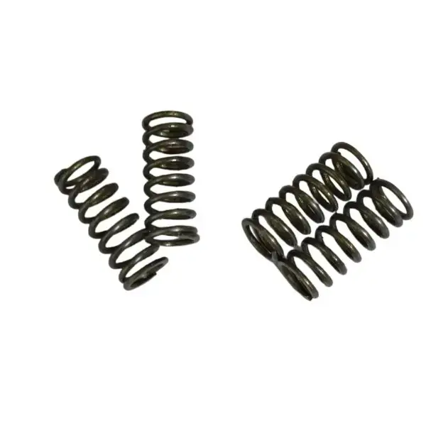 Rx100/135 Clutch Hub Spring