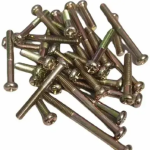 Rx100 Engine Screw Kit